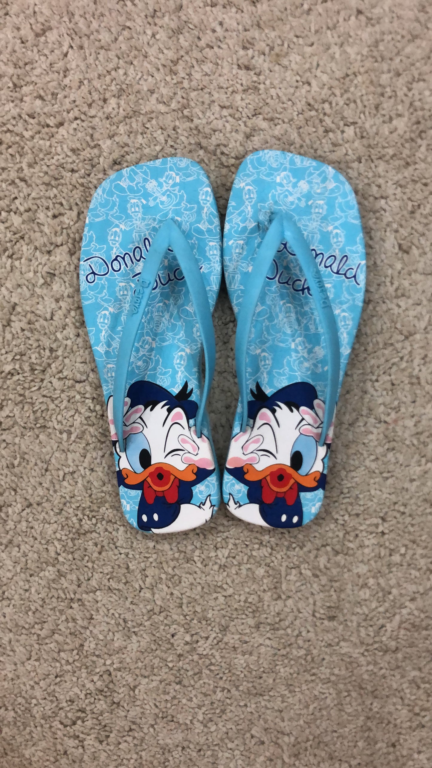 Donald Flip flop